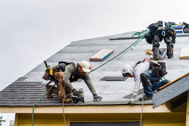 Professional Gutter Installation technician working in Highland Park, MI